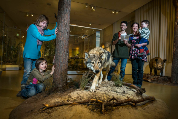 Senckenberg Museum für Naturkunde Görlitz