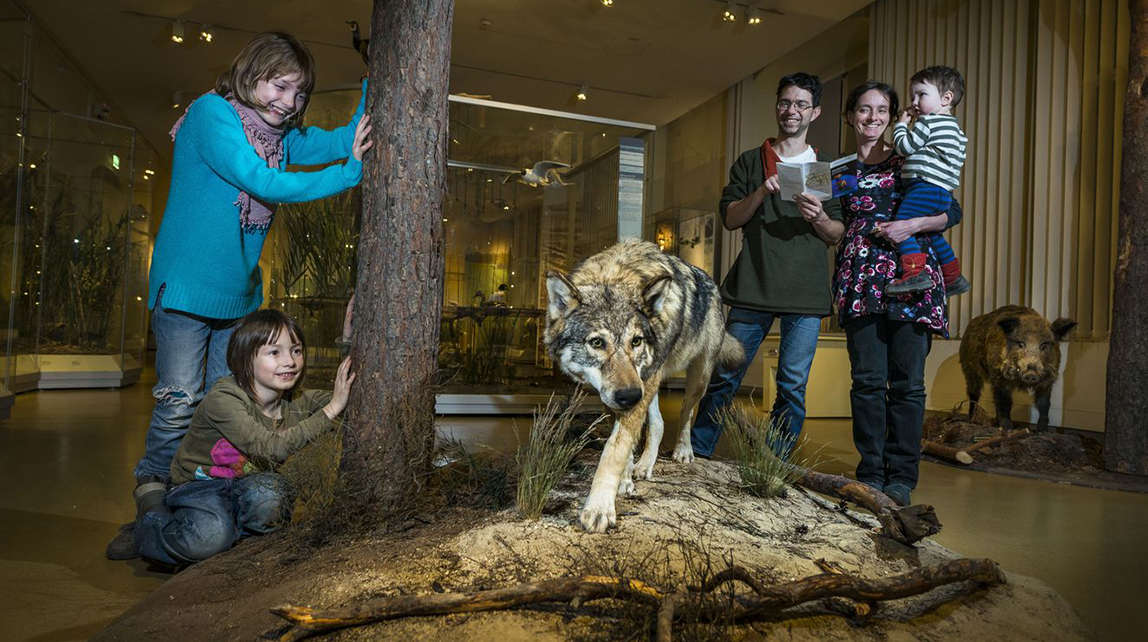 Senckenberg Museum für Naturkunde Görlitz
