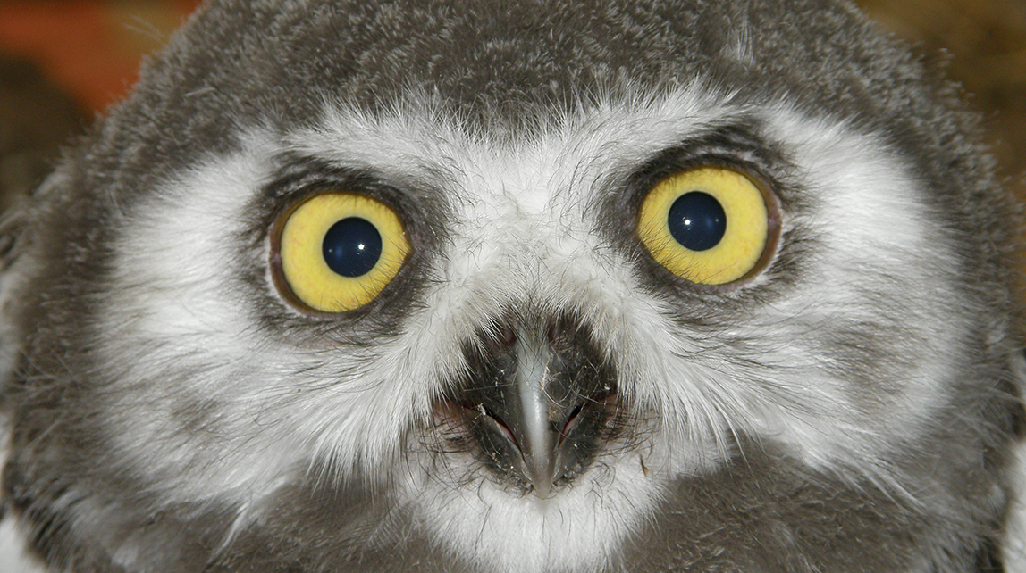 Tierpark Weißwasser/O.L.